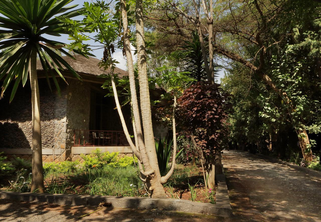 Abay Minch Lodge Bahir Dar Exterior foto