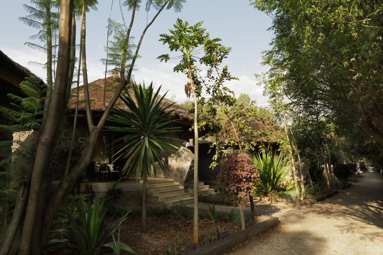Abay Minch Lodge Bahir Dar Exterior foto