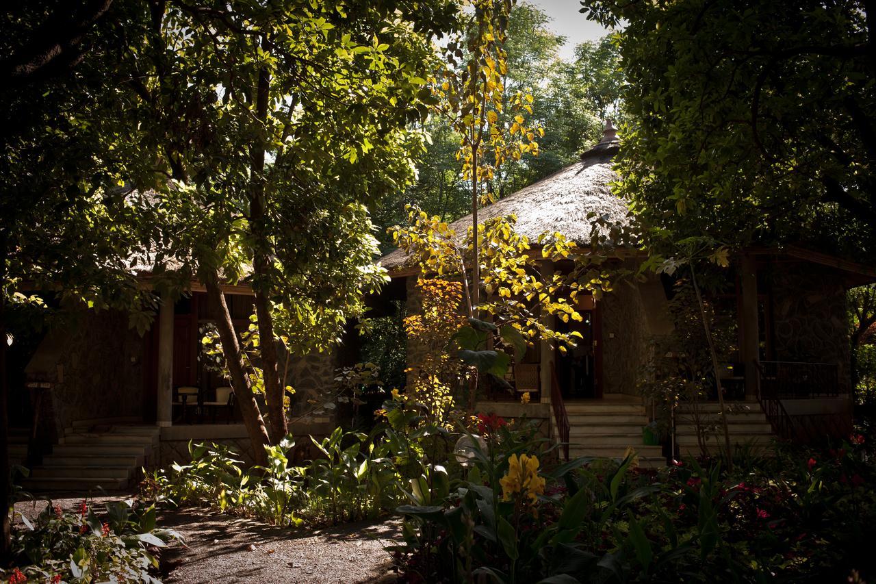 Abay Minch Lodge Bahir Dar Exterior foto