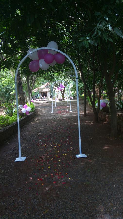 Abay Minch Lodge Bahir Dar Exterior foto