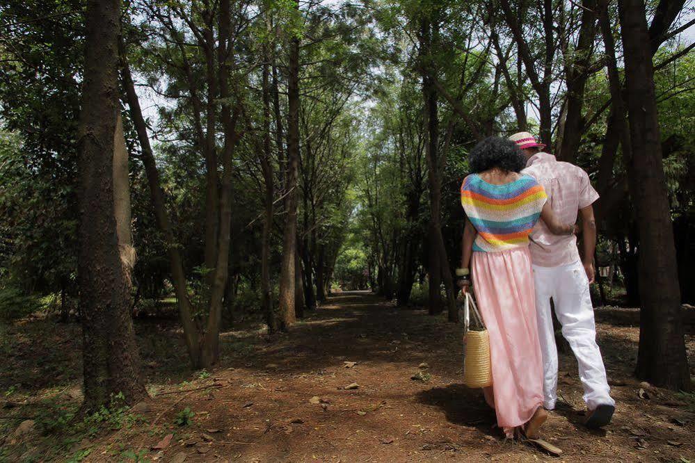 Abay Minch Lodge Bahir Dar Exterior foto